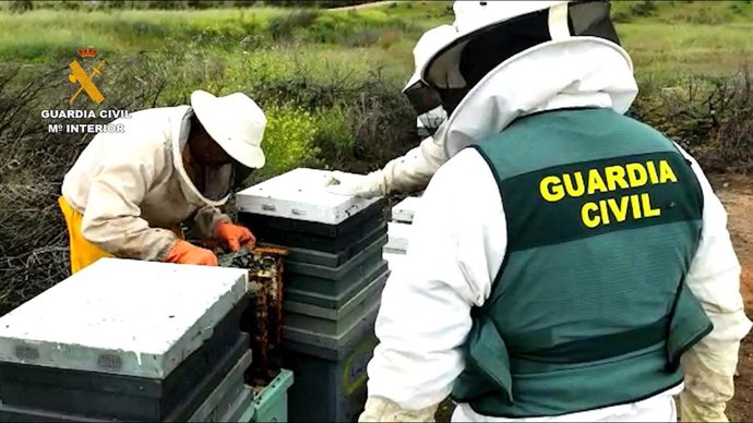 Los agentes intervienen las colmenas robadas