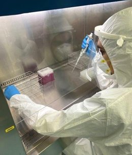 Laboratorio LAPCoV promovido por la UVA en Valladolid.