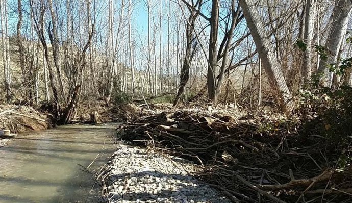 Labores realizadas en la Confederación Hidrográfica del Ebro.