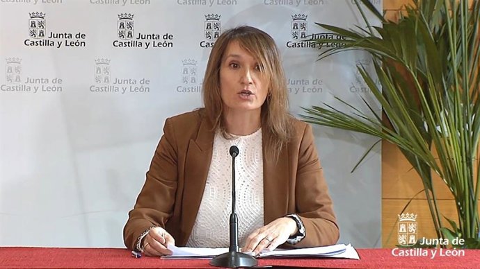 Captura de la comparecencia on line de la consejera de Educación en la rueda de prensa del COVID-19.