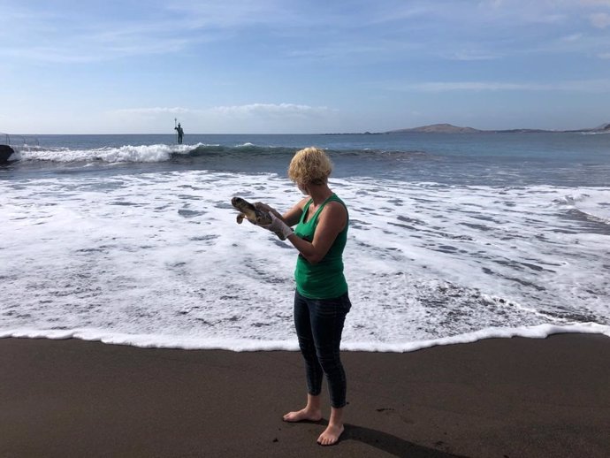 Devuelta al mar en Gran Canaria una tortuga que fue hallada malherida el pasado diciembre