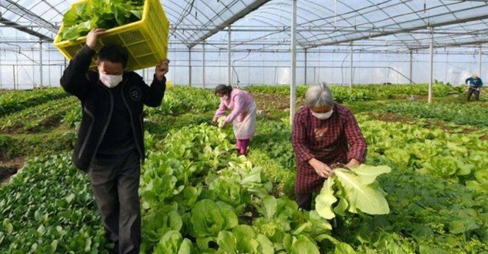 Coronavirus.-Aguilera (PSOE) urge a la Comisión Europea medidas de mercado con f