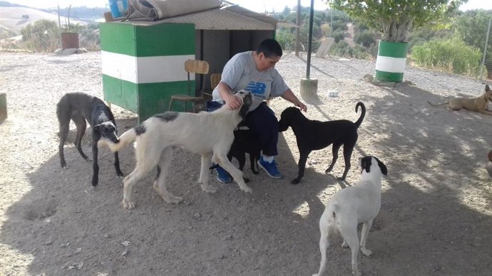 Voluntaria en la protectora de La Carolina, en imagen de archivo.