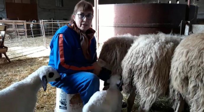 UPA y Fademur han donado lechazos a una cooperativa de Saldaña y la Fundación San Cebrián.