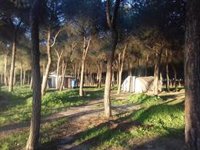 Investigado por coacciones y amenazas tras la denuncia de un inmigrante de un asentamiento en Lepe (Huelva)