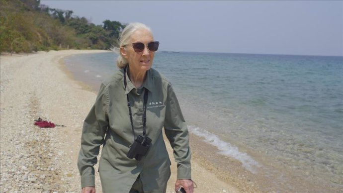 Jane Goodall: La gran esperanza en National Geographic
