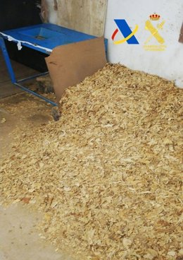 Parte de la picadura de tabaco incautada