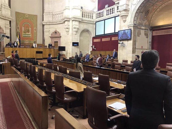 Minuto de silencio en la Diputación Permanente del Parlamento de Andalucía, en sesión del 16 de abril de 2020.