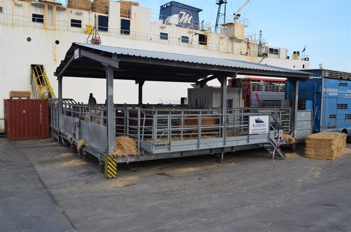 Transporte de animales en el Puerto de Cartagena