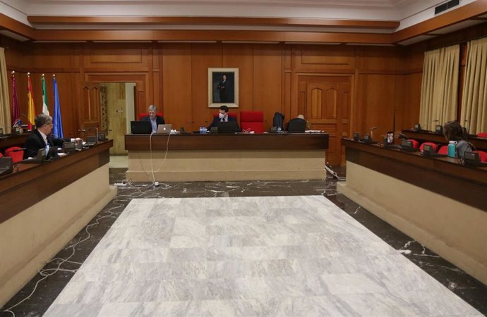 Celebración del primer Pleno telemático del Ayuntamiento.