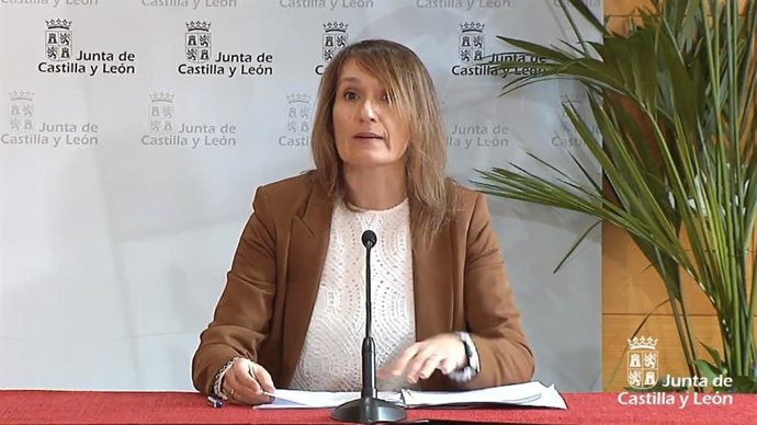 Captura de la comparecencia on line de Rocío Lucas.