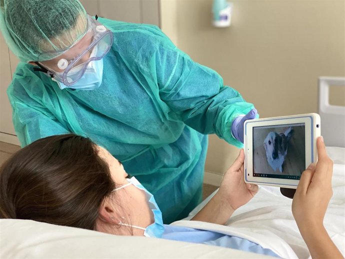 Los hospitales universitarios de Torrevieja y del Vinalopó facilitan las visitas virtuales de mascotas a pacientes aislados por COVID19