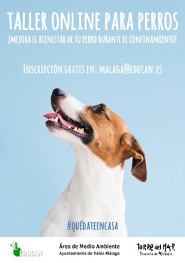 Np Torre Del Mar Ofrecerá Clases Online Gratuitas Para Mejorar El Bienestar De Sus Perros Durante El Confinamiento (