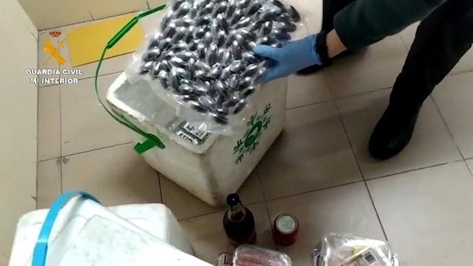 Hachís intervenido por la Guardia Civil en la A-66 en Almendralejo