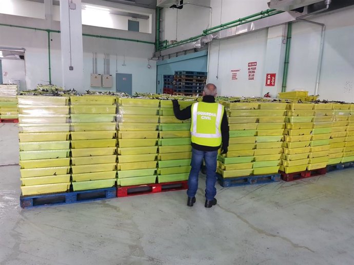 Pesca.- La Guardia Civil se incauta de 7.850 kilos de caballa en el puerto de A 