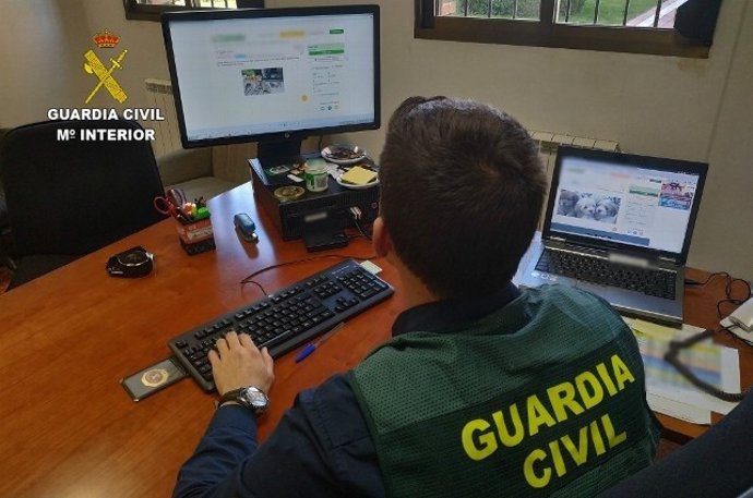 Foto remitida por la Guardia Civil.