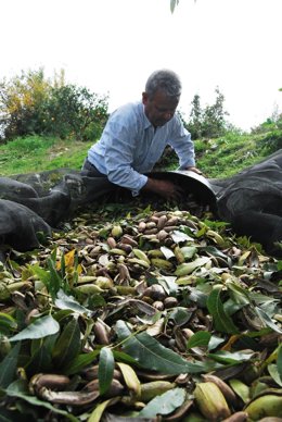 Una persona con frutos de su cosecha marca Sabor a Málaga