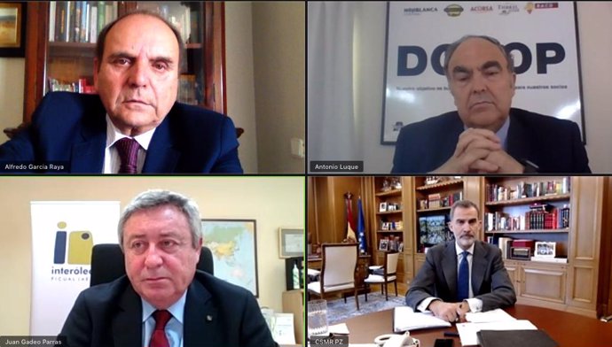 Representantes de cooperativas y grupos oleícolas de Andalucía en videoconferencia con el Rey Felipe VI