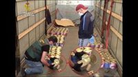Cae una red que transportaba droga a Lituania desde Málaga oculta en latas de tomate frito