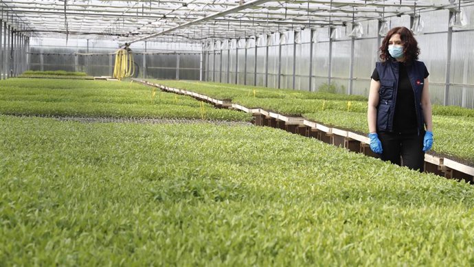LA PRESIDENTA DE LA COMUNIDAD DE MADRID, ISABEL DÍAZ AYUSO, DURANTE SU VISITA AL IMIDRA