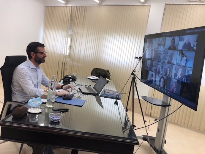 El alcalde de Almería, Ramón Fernández-Pacheco, durante una reunión telemática