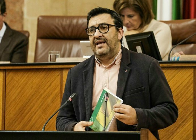 El diputado de Adelante Andalucía Guzmán Ahumada interviene en el Parlamento andaluz en una imagen de archivo