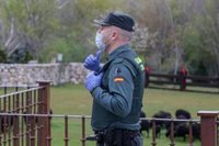 Investigada por delito de odio en Pinos Puente (Granada) por desear la muerte de guardias civiles en redes sociales