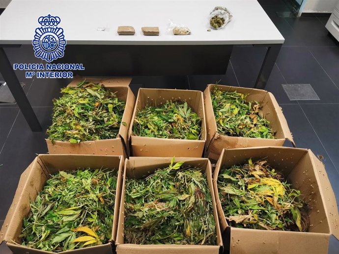 Policía Nacional detiene a un hombre que portaba en su coche casi 100 kilos de marihuana tras intentar saltarse un control