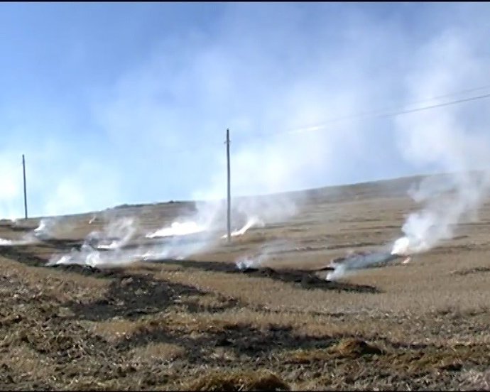 Coronavirus.- Autorizadas quemas de restos de poda de olivo y de viña por motivo