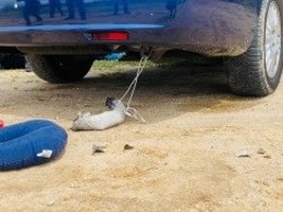 Policía de Coslada evita que un hombre se suicidara con el humo de su propio coche