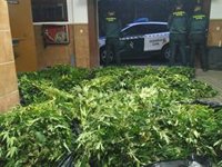 Detenido tras ser sorprendido con más de 31 kilos de marihuana en un control en Granada