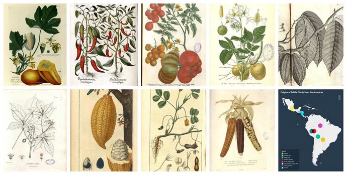 Exposición en el Real Jardín Botánico del Consejo Superior de Investigaciones Científicas (RJB-CSIC)