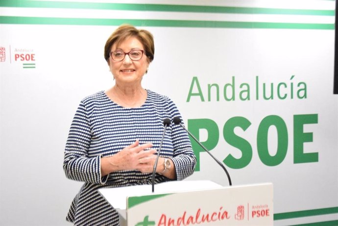 La senadora del PSOE Marisa Bustinduy