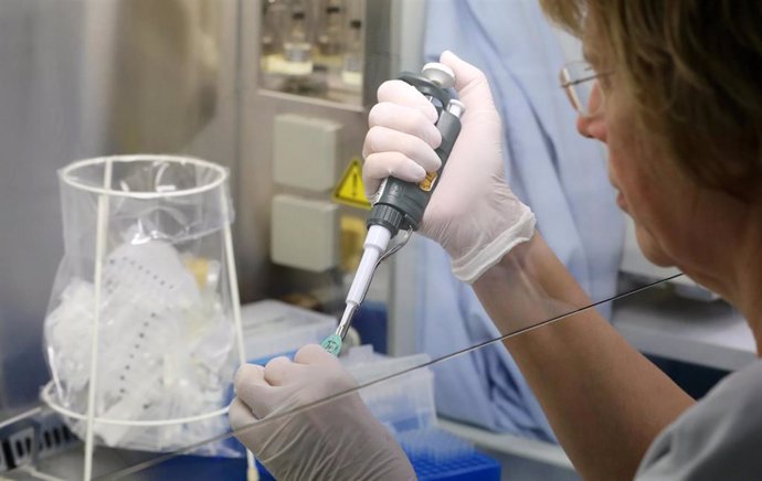 Una investigadora en el Departamento de Biología Molecular en el Instituto de Microbiología, Virología e Higine Médica en el University Medical Centre de Alemania examina una muestra en los esfuerzos contra el nuevo coronavirus