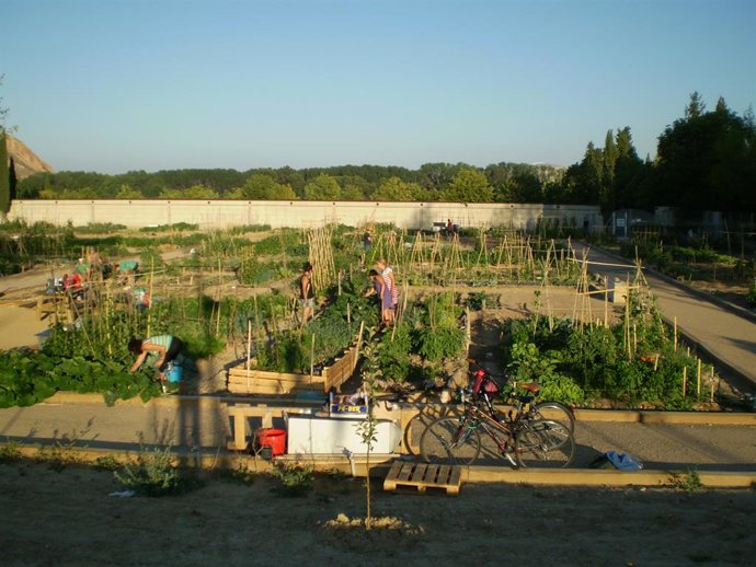 Coronavirus.- Ciudadanos propone que se permita cultivar los huertos que estén e