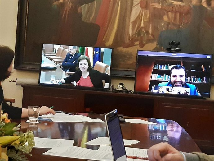 Sesión telemática para el reparto del PFOEA