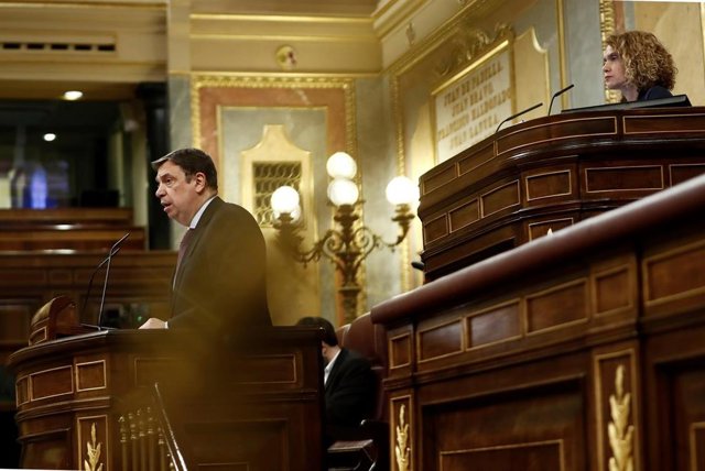La presidenta del Congreso, Meritxell Batet y el ministro de Agricultura, Luis Planas, durante un Pleno de la Cámara Baja