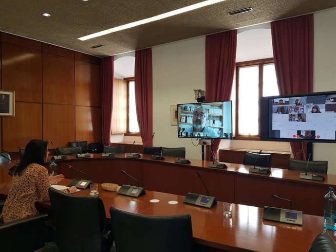 La presidenta del Parlamento, Marta Bosquet, en rueda de prensa telemática.