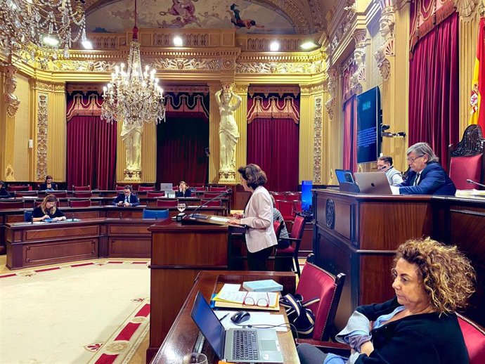 La consellera de Asuntos Sociales y Deportes, Fina Santiago, durante su comparecencia en el Parlament.