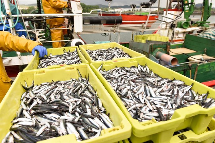 Un total de 93 barcos de pesca de anchoa del Cantábrico logran la certificación 