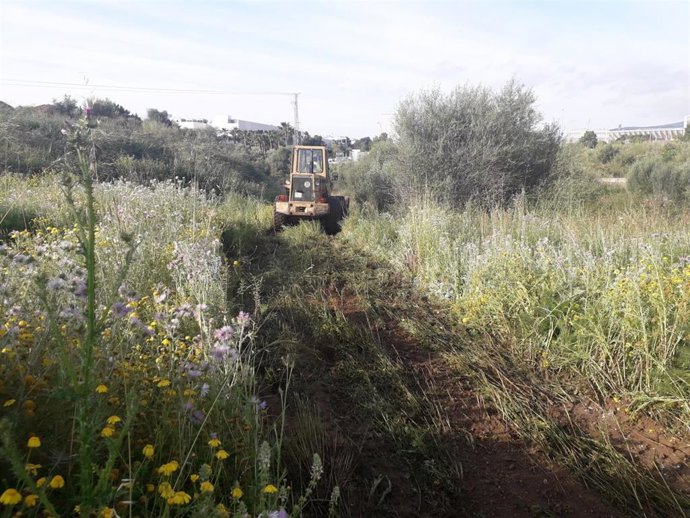 Limpieza de torrentes en Palma.