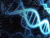 Foto: El CSIC lanza un estudio genético para identificar el riesgo de desarrollar formas graves de Covid-19