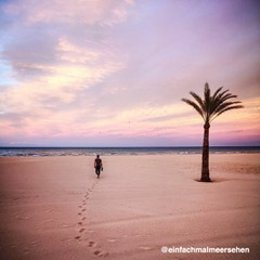 Gandia homenajea a sus turistas con un vídeo con el que revive sus recuerdos 