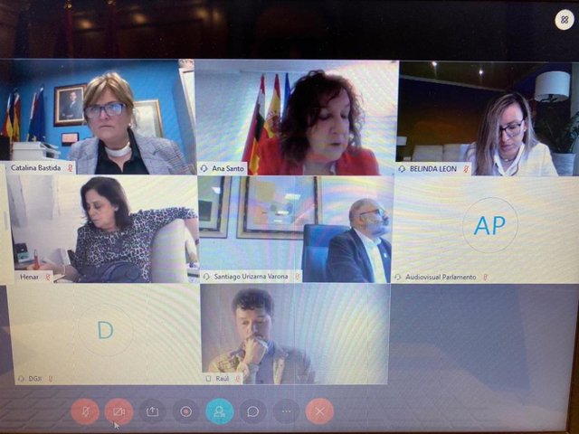 La consejera de Servicios Sociales, Ana Santos, comparece por streaming en el Parlamento
