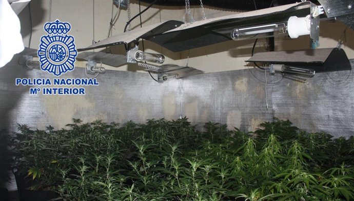 El aumento de efectivos en controles en la vía pública por el estado de alarma permite nuevas incautaciones de sustancias estupefacientes en Murcia