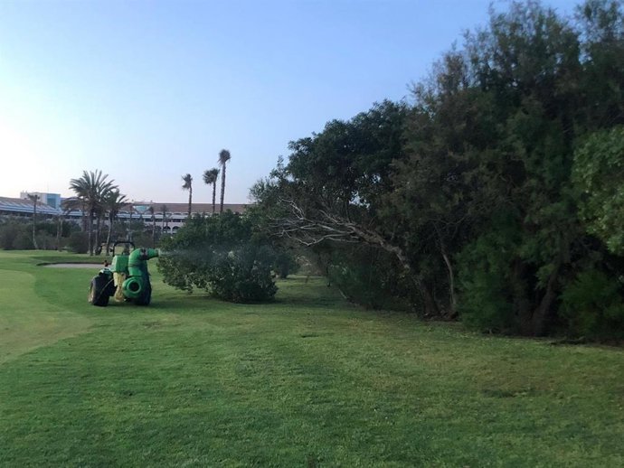 Fumigación contra los mosquitos en el Campo de Golf de Almerimar, en El Ejido (Almería)
