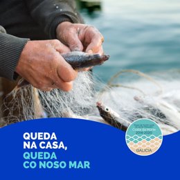 Campaña de los GALP para incentivar el consumo de productos del mar