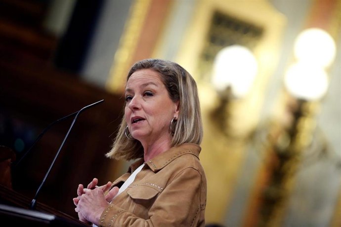 La diputada de CC, Ana María Oramas, en el pleno del Congreso