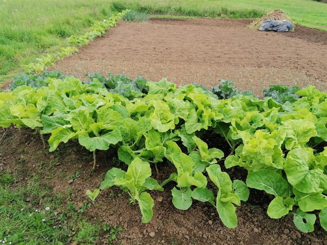 Sánchez dice que tendrá en cuenta "muy pronto" la petición de dar