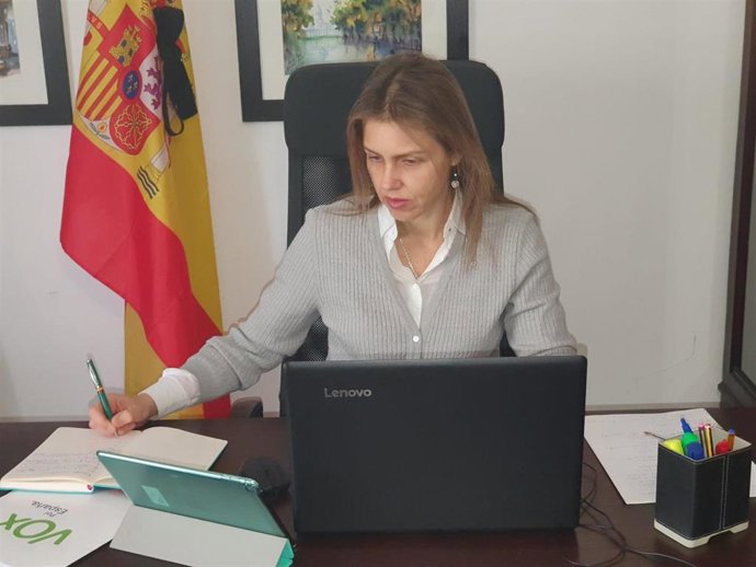 Cristina Peláez, portavoz de VOX en el Ayuntamiento de Sevilla, en una videoconferencia